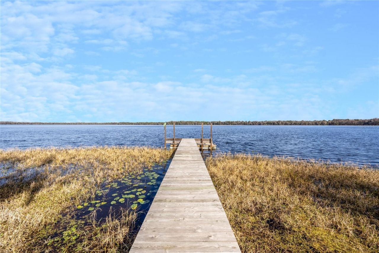 16602 NE 124th Avenue, Waldo, FL 32694 Photo