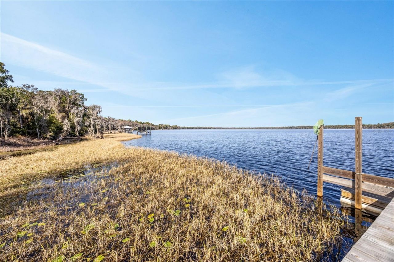 16602 NE 124th Avenue, Waldo, FL 32694 Photo