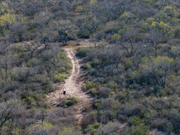 TBD E FM 71, Campbellton, TX 78008