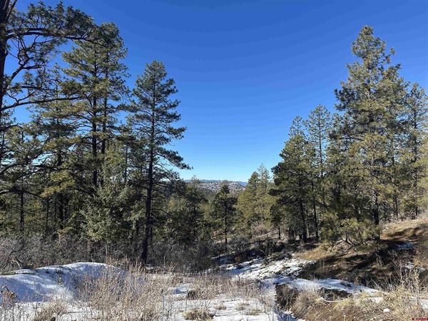 1742 West View Road, Pagosa Springs, CO 81147