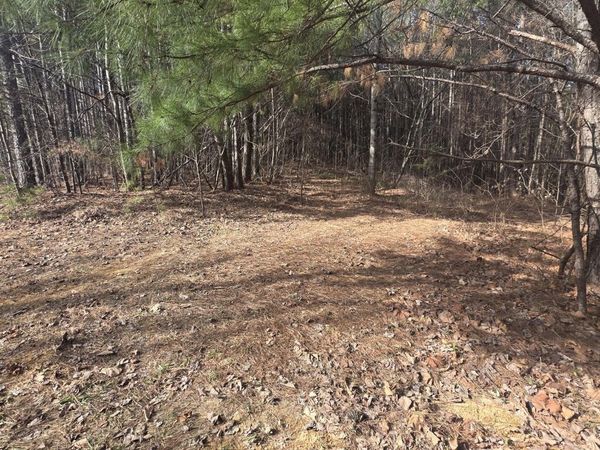 180 Rock Creek Drive, Old Fort, TN 37362