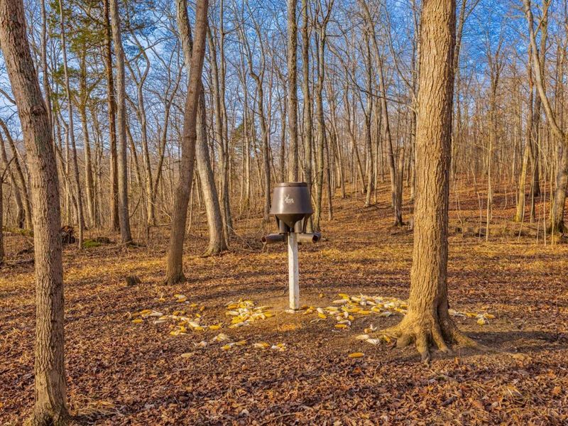 630 Dawn Lane, Peebles, OH 45660 Photo 32