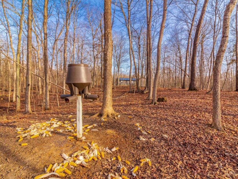 630 Dawn Lane, Peebles, OH 45660 Photo 33