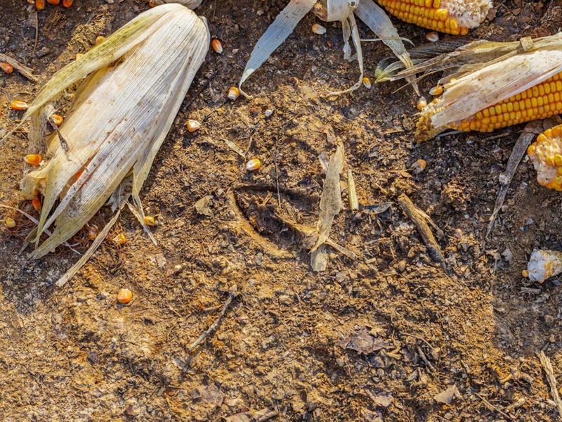 630 Dawn Lane, Peebles, OH 45660 Photo 34