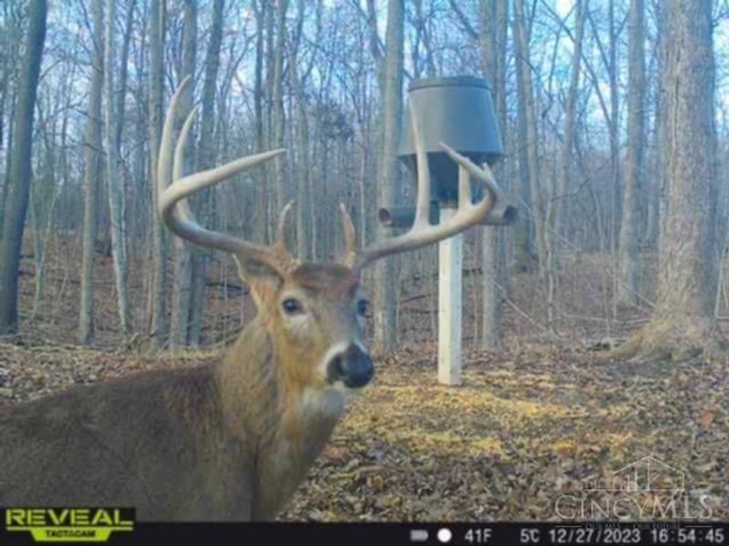 630 Dawn Lane, Peebles, OH 45660 Photo 35