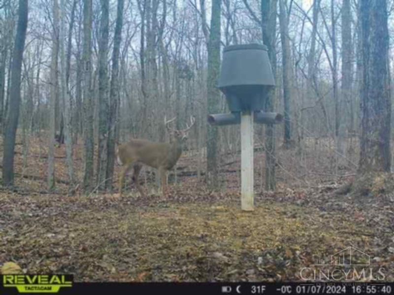 630 Dawn Lane, Peebles, OH 45660 Photo 36