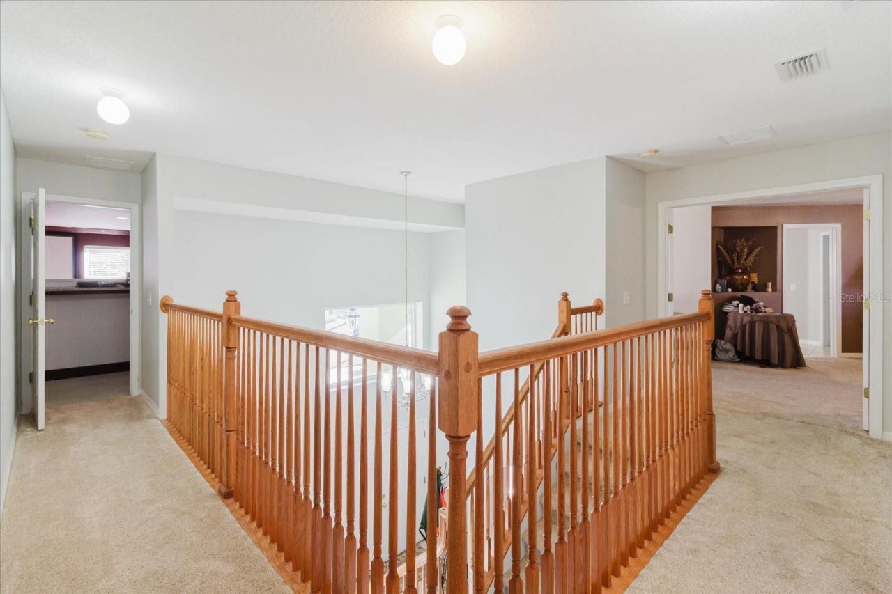 2717 Avon River Drive, Valrico, FL 33596 Photo