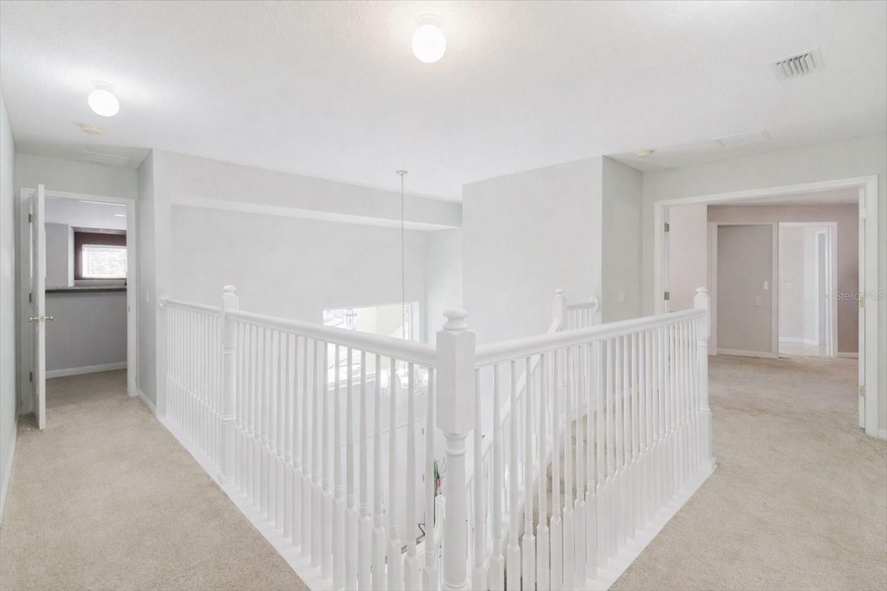 2717 Avon River Drive, Valrico, FL 33596 Photo