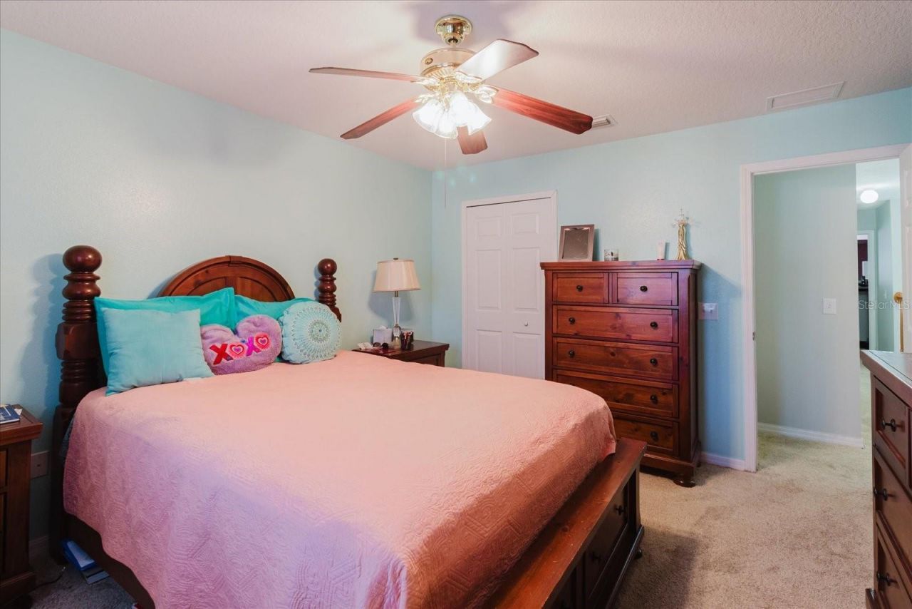 2717 Avon River Drive, Valrico, FL 33596 Photo