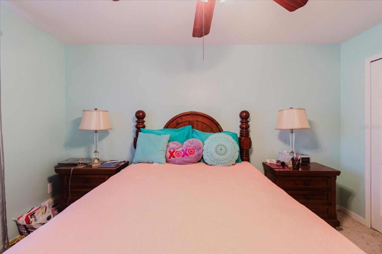 2717 Avon River Drive, Valrico, FL 33596 Photo