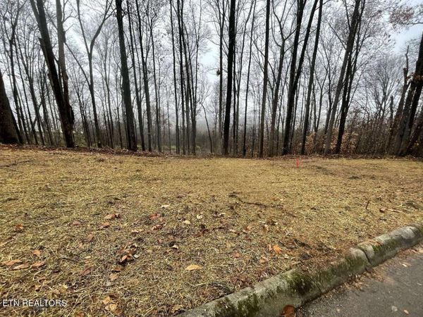 00 Lot 10 Poplar Drive, Sweetwater, TN 37874