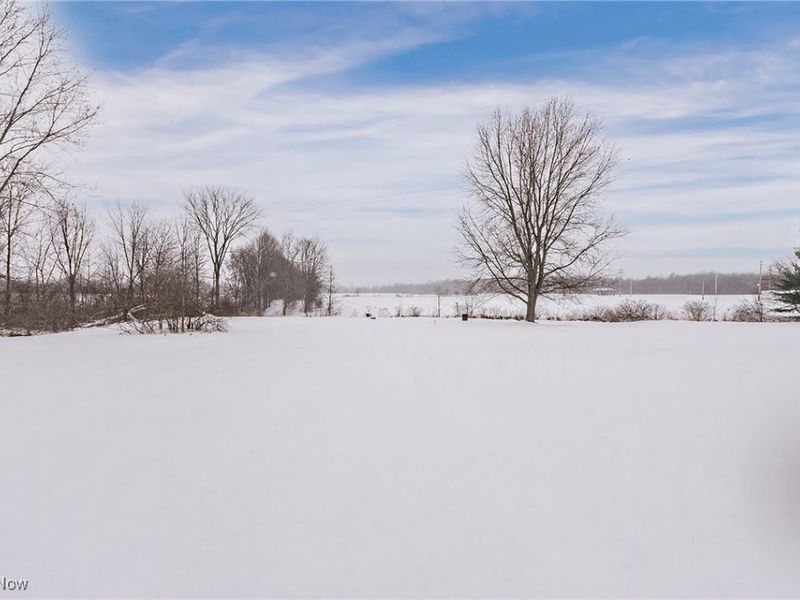 16008 Button Street, Middlefield, OH 44062 Photo 46