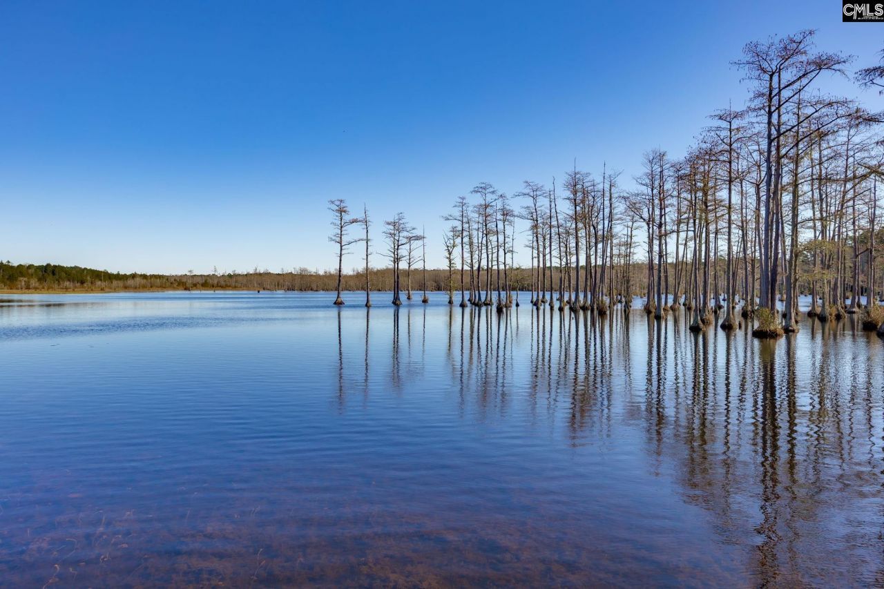 1924 Niagara Drive Photo 58