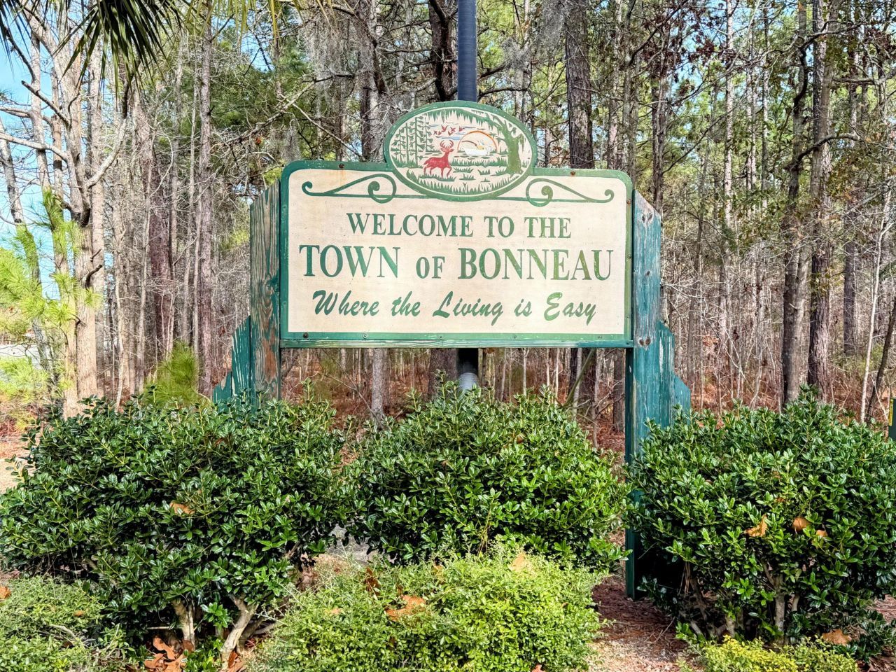 105 Mourning Dove Drive Photo 2