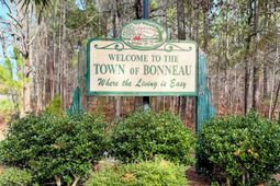 105 Mourning Dove Drive photo 4