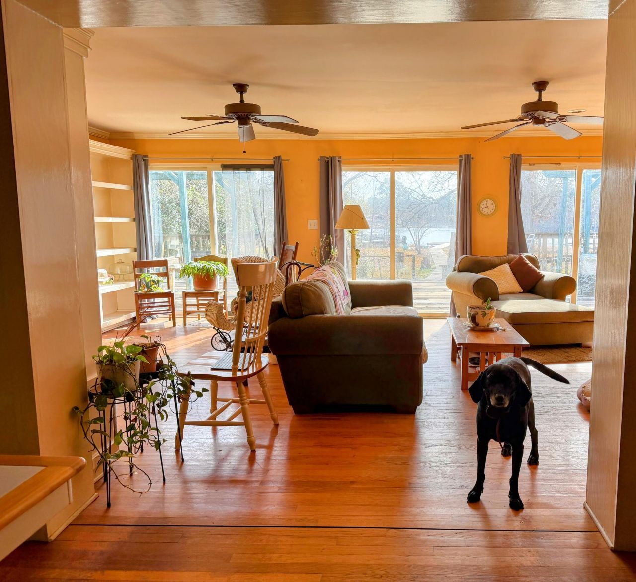 105 Mourning Dove Drive Photo 21