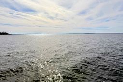 105 Mourning Dove Drive photo 4