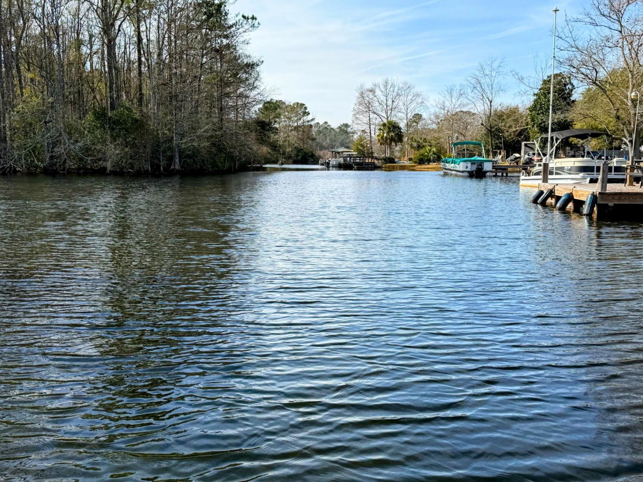 105 Mourning Dove Drive Photo 6