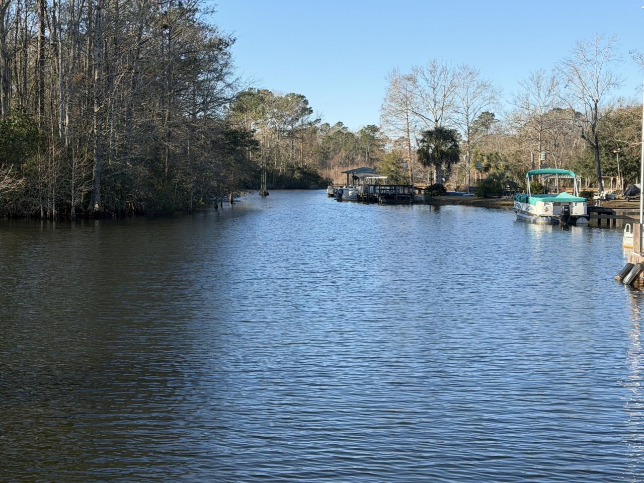 105 Mourning Dove Drive Photo 9