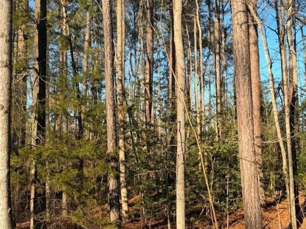 119 American Drive , Ruther Glen, VA 22546