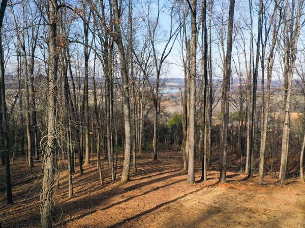 00 Lot 10 Poplar Drive, Sweetwater, TN 37874