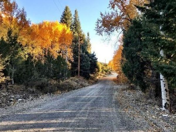 233 Lake Of The Falls Parkway , Mosca, CO 81146