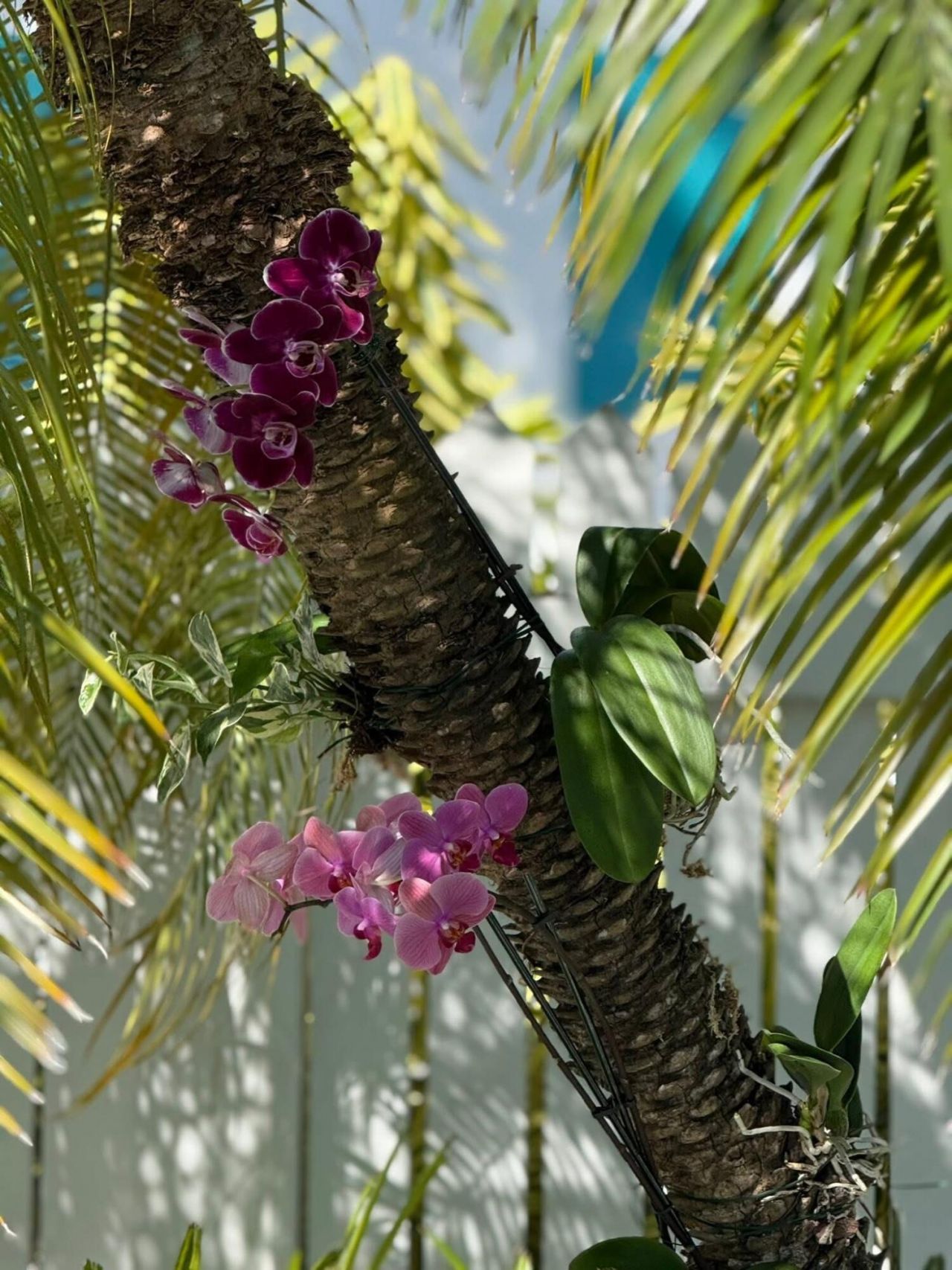 1503 Johnson Street, Key West, FL 33040 Photo