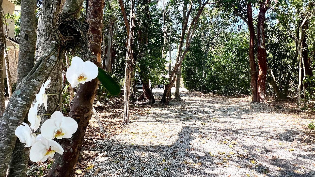 96000 Overseas Highway, Unit P1, Key Largo, FL 33037 Photo