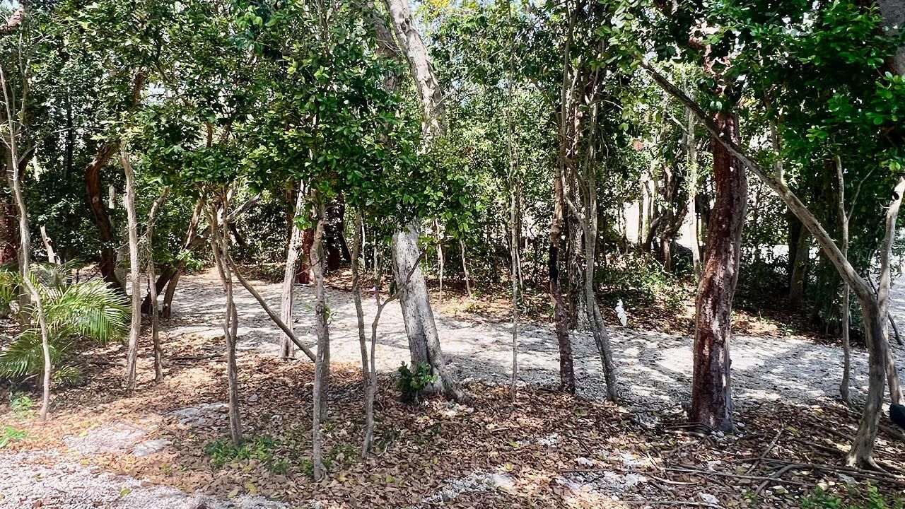 96000 Overseas Highway, Unit P1, Key Largo, FL 33037 Photo