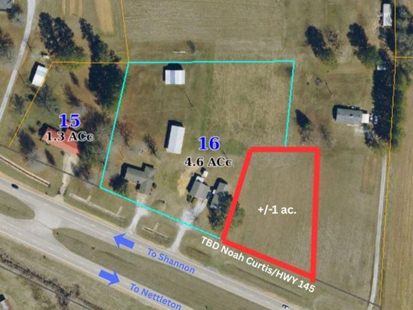 6346 Noah Curtis +/- 1 acre, Shannon, MS 38868