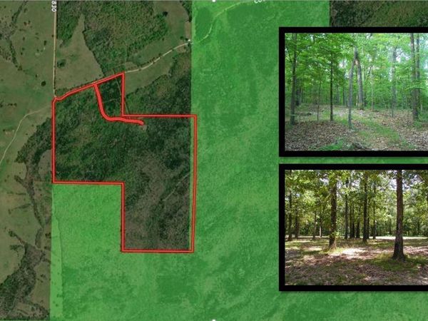 000 County Road 830, Thornfield, MO 65762