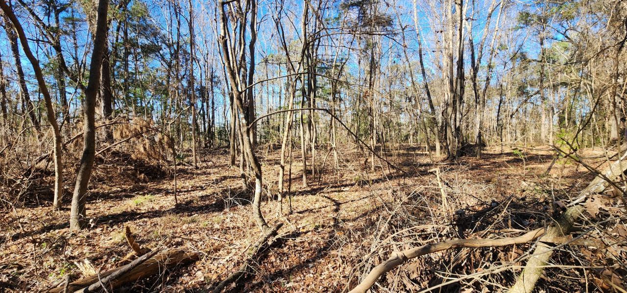 0 Bama Road Photo 13