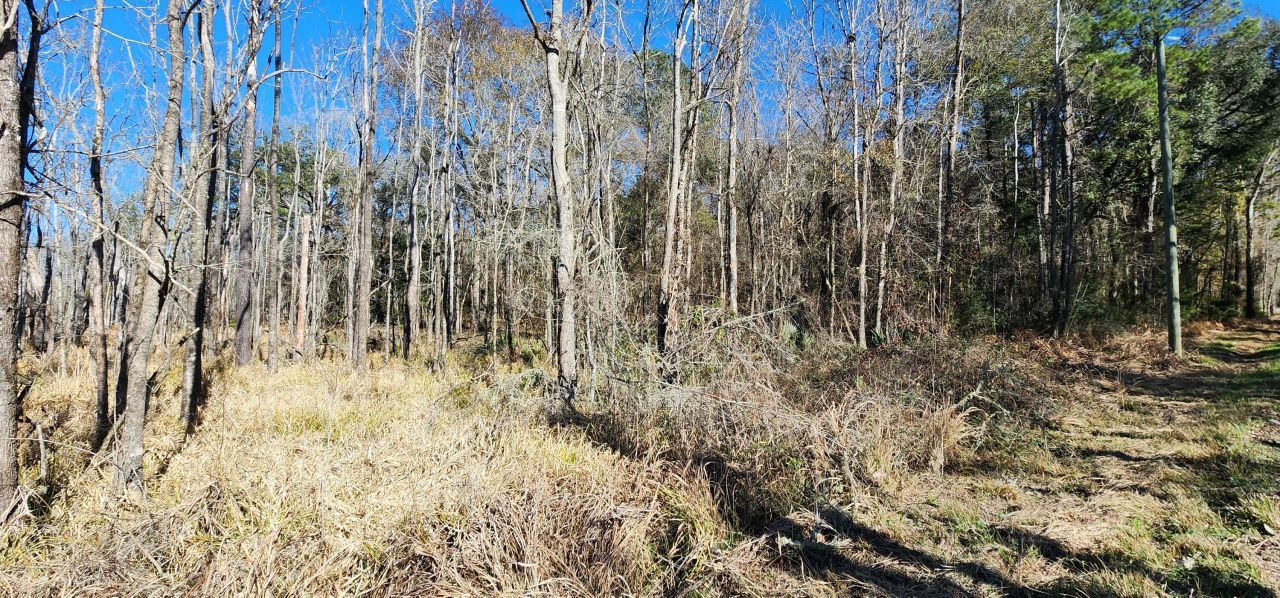 0 Bama Road Photo 16