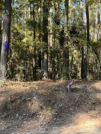 0 Bama Road Photo 19