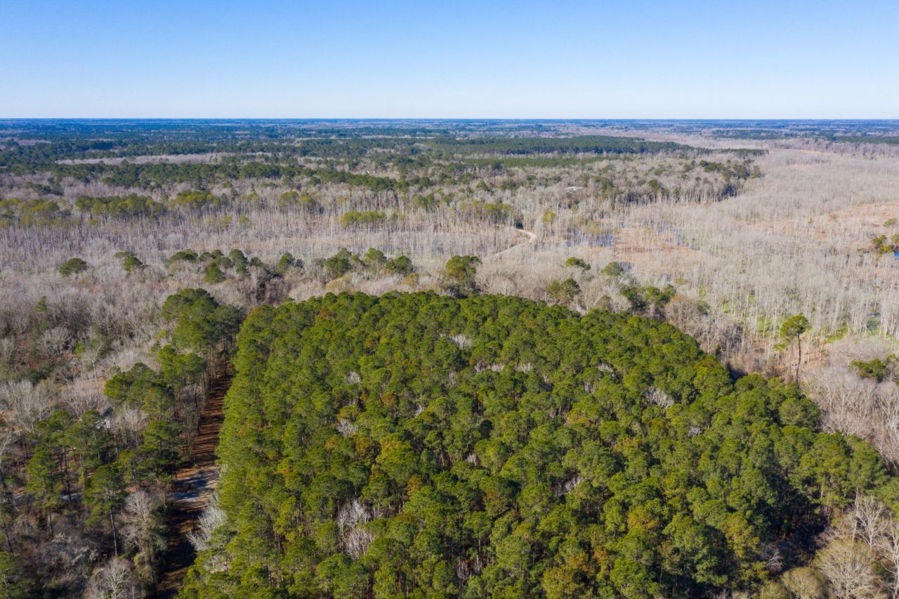 0 Bama Road Photo 23