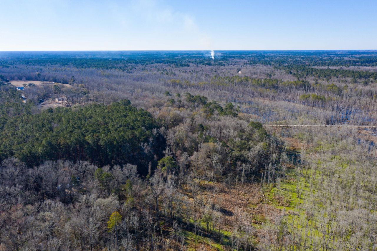 0 Bama Road Photo 25