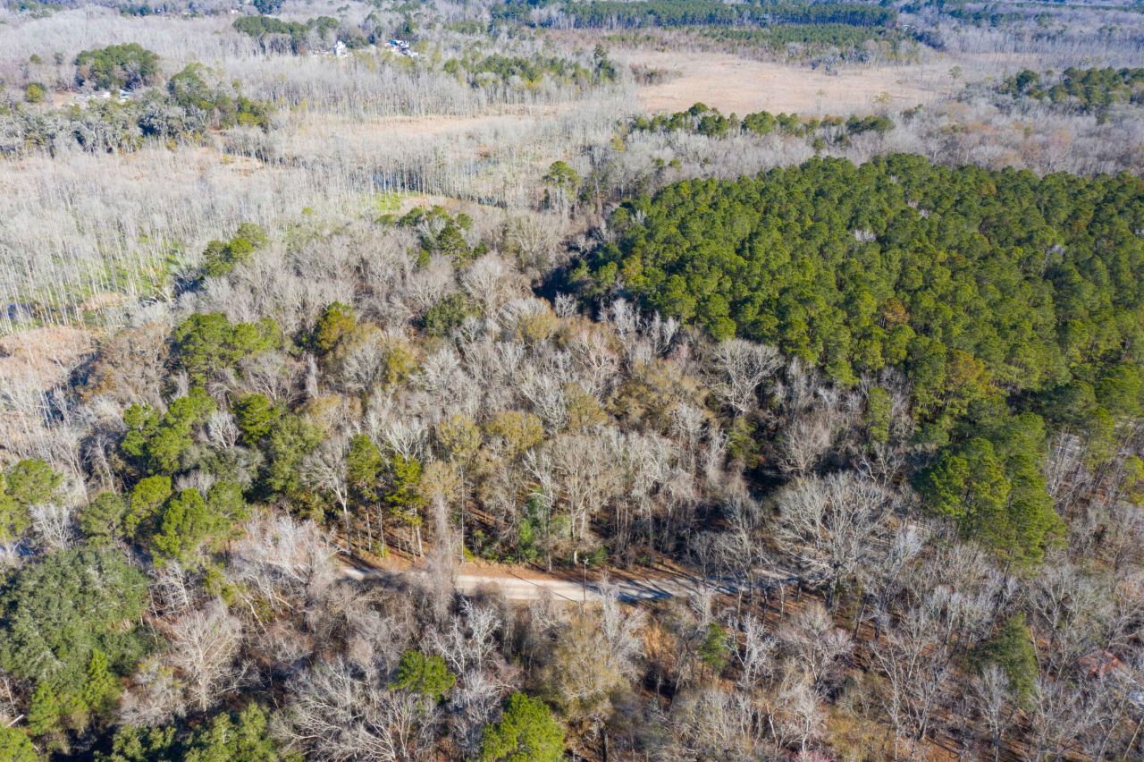 0 Bama Road Photo 29