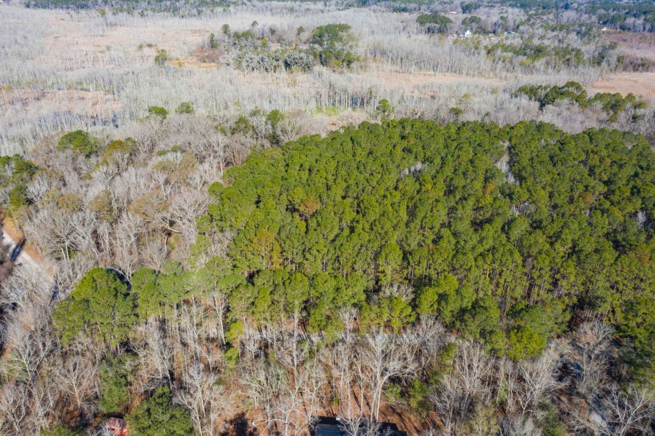 0 Bama Road Photo 30