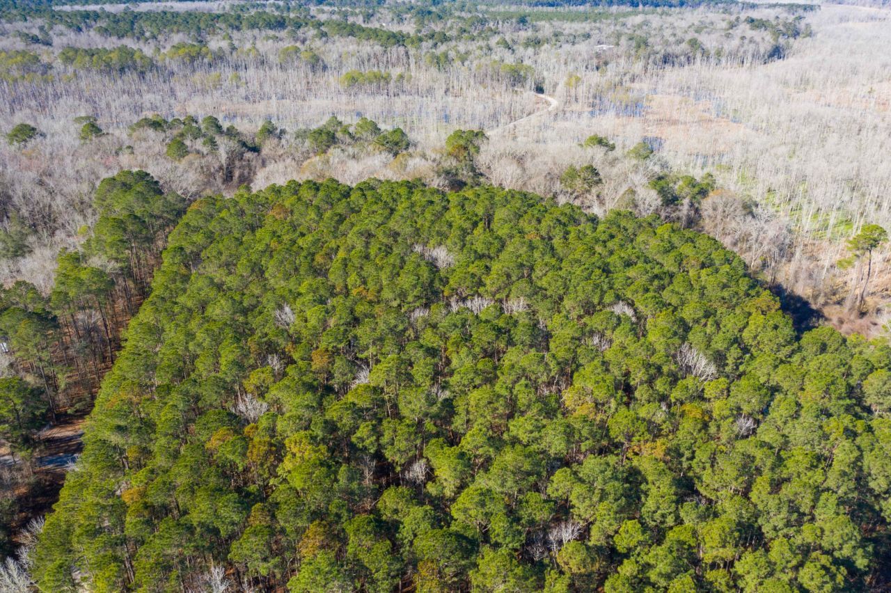 0 Bama Road Photo 31