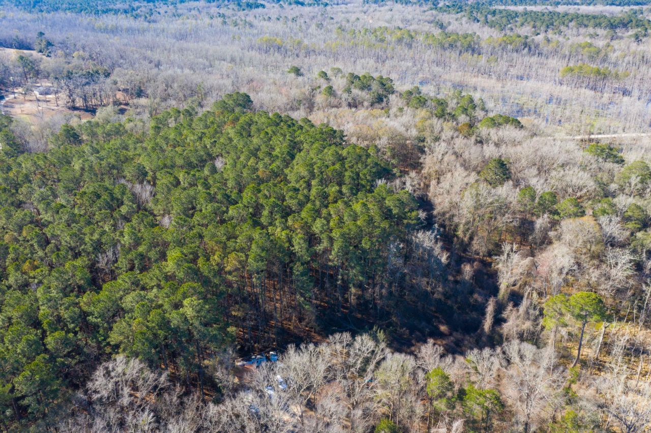 0 Bama Road Photo 32