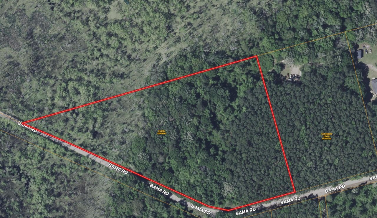 0 Bama Road Photo 38