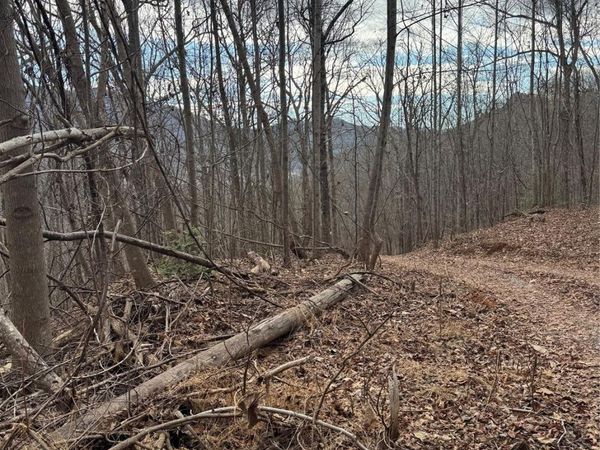 99999 Penland Road, Hayesville, NC 28904