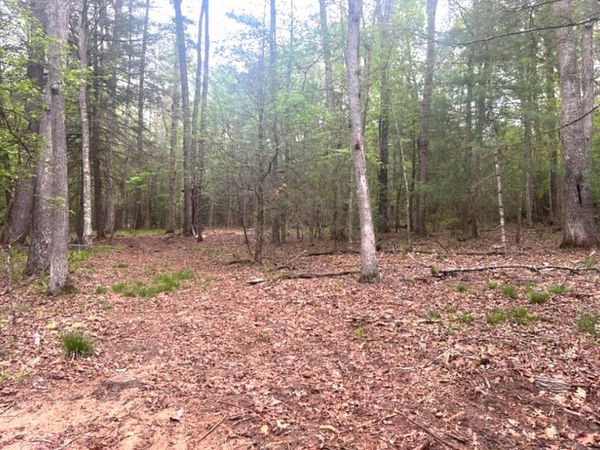 Lot 3 Asbury Trace, Lewisburg, WV 24901