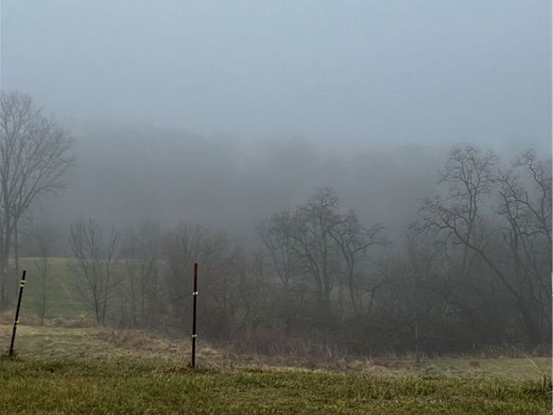 2195 Township Road 405, Jeromesville, OH 44840 Photo 6