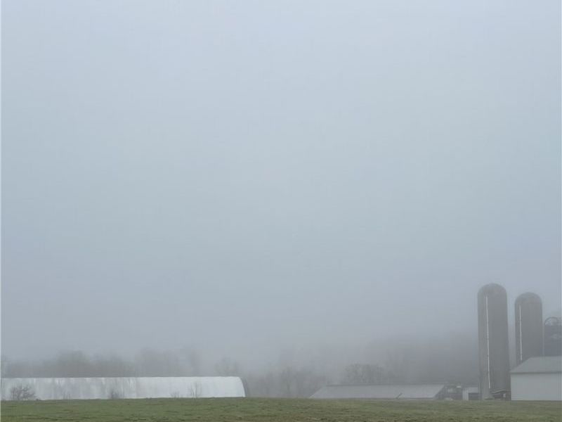 2195 Township Road 405, Jeromesville, OH 44840 Photo 8