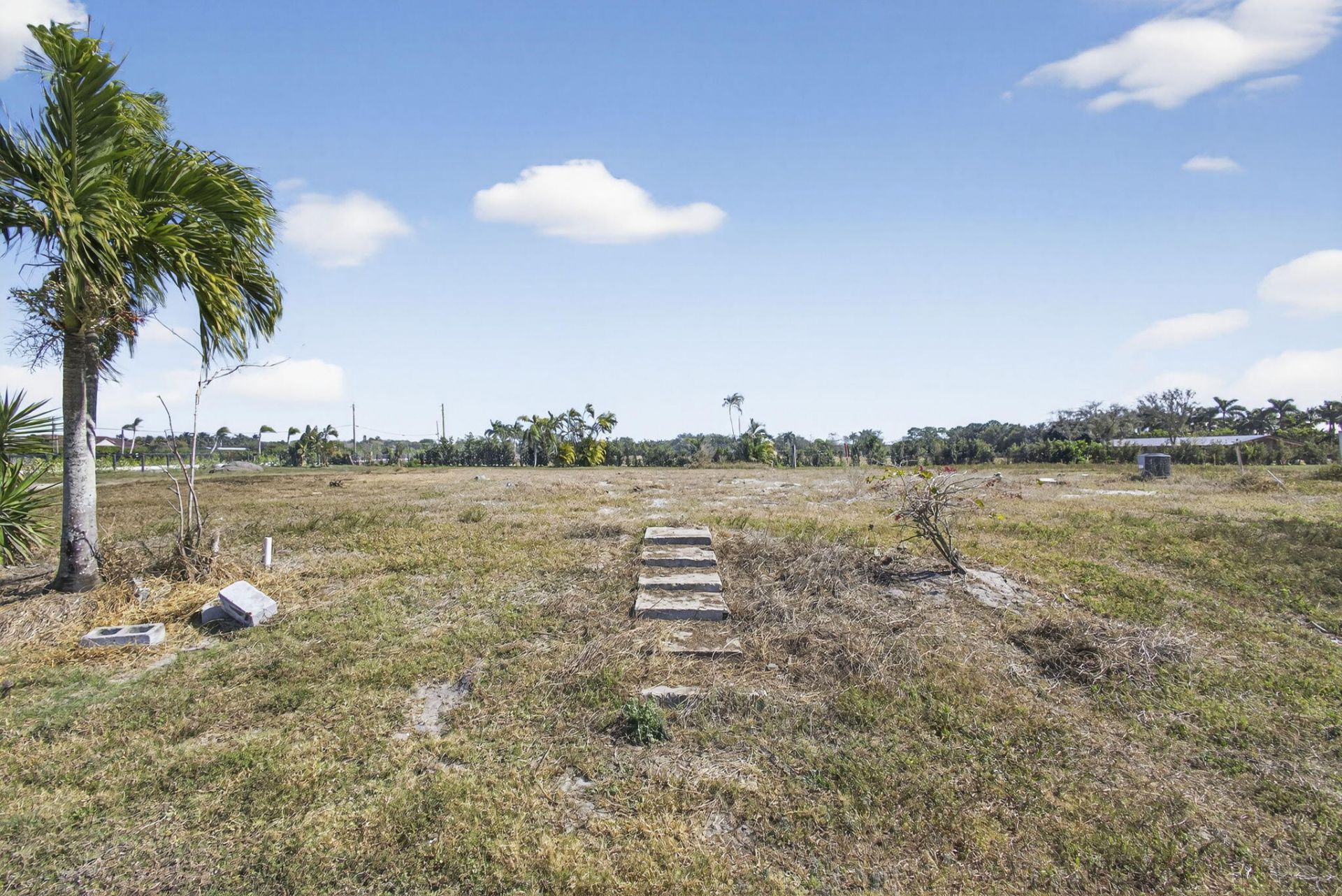 16296 Deer Path Lane, Wellington, FL 33470 Photo