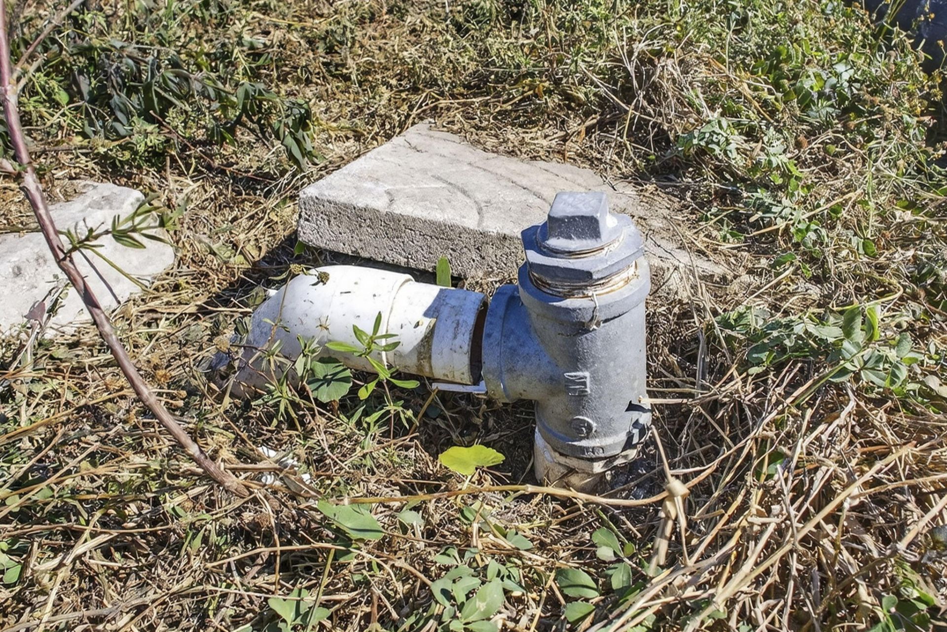 16296 Deer Path Lane, Lot #(5 Acres V, Wellington, FL 33470 Photo