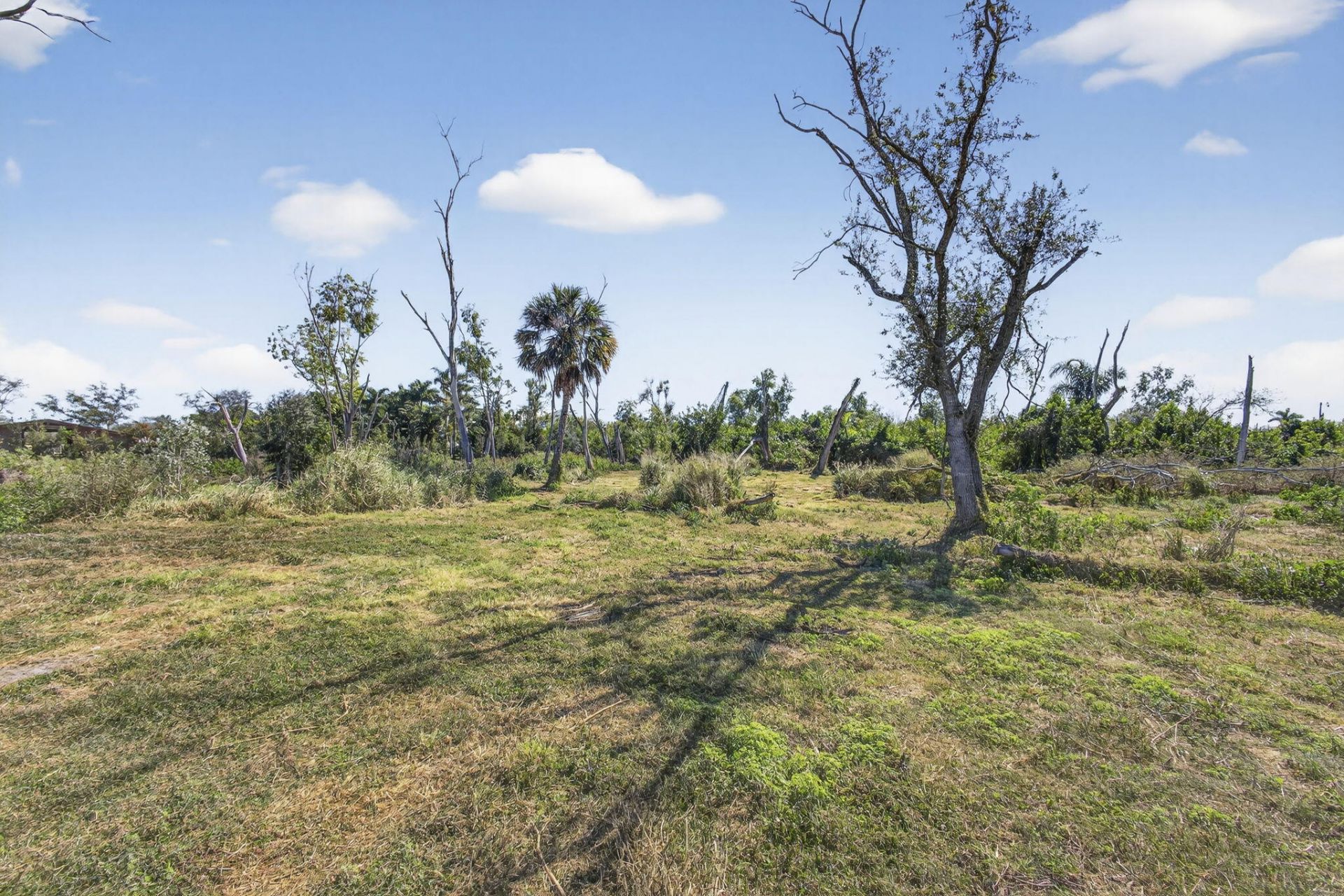 16296 Deer Path Lane, Lot #(5 Acres V, Wellington, FL 33470 Photo