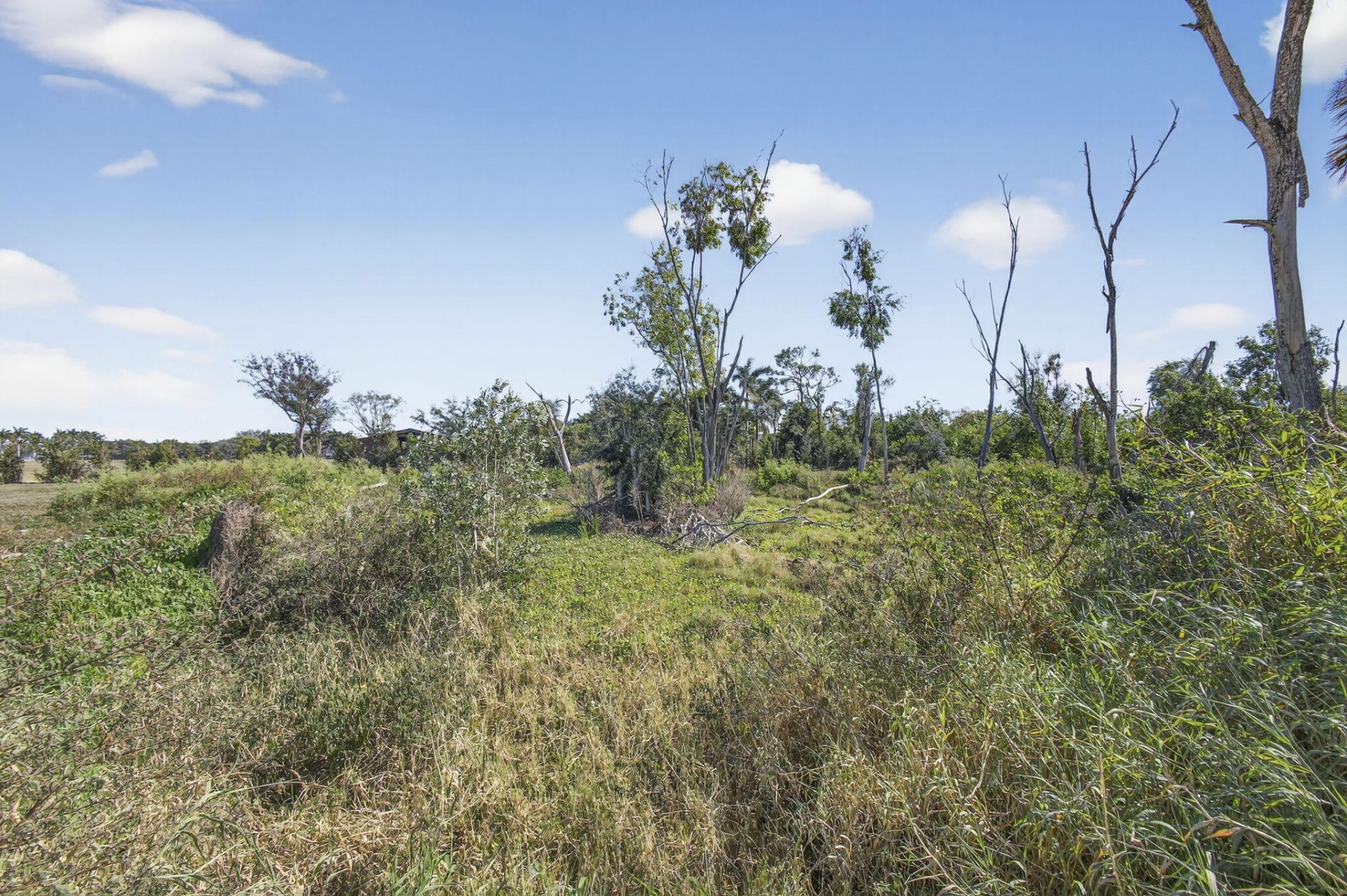 16296 Deer Path Lane, Lot #(5 Acres V, Wellington, FL 33470 Photo