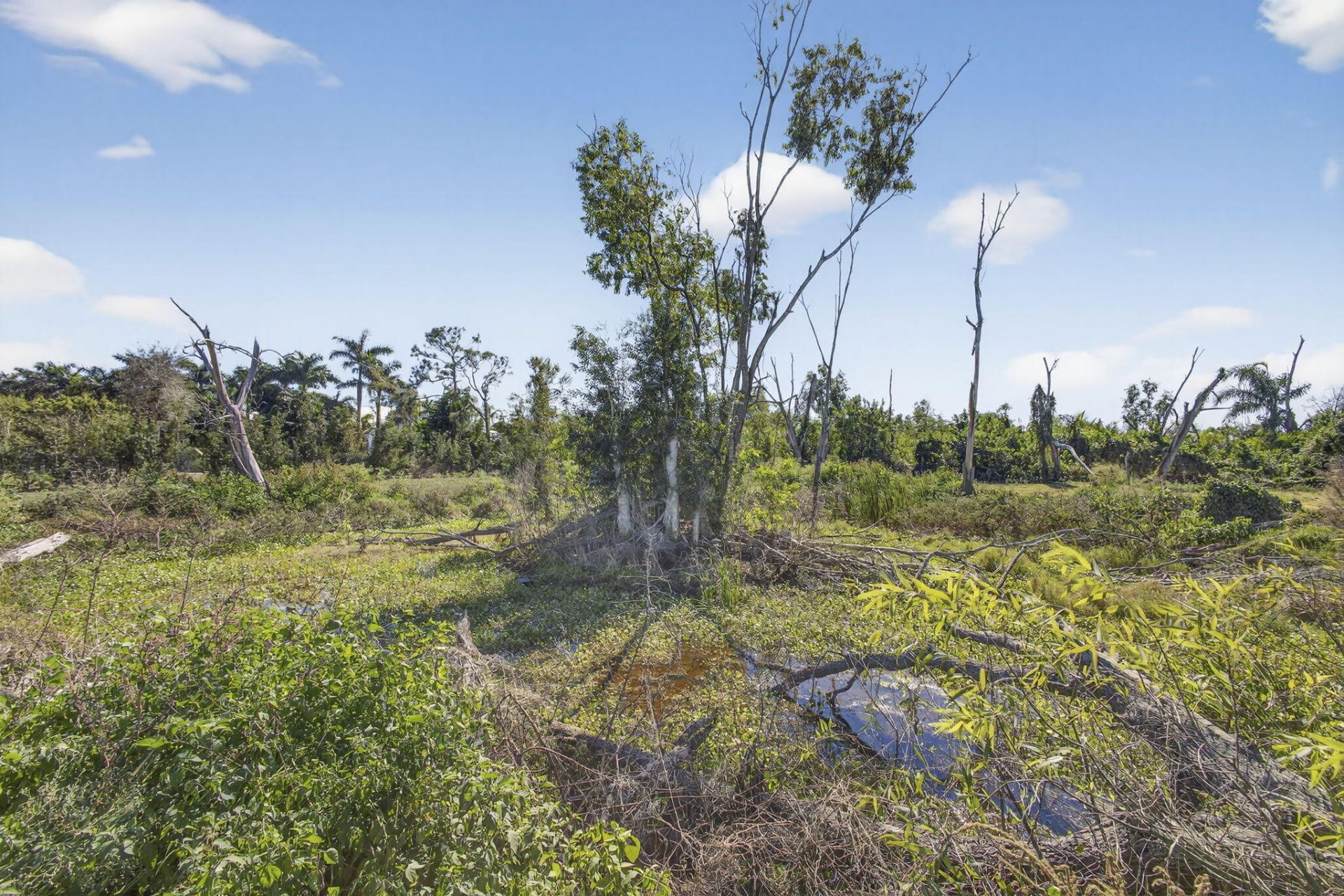 16296 Deer Path Lane, Lot #(5 Acres V, Wellington, FL 33470 Photo